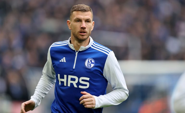 Edin Dzeko von FC Schalke 04