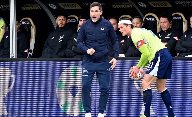 Stefan Leitl, Hertha BSC