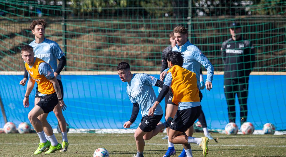 Diego Demme, Hertha BSC