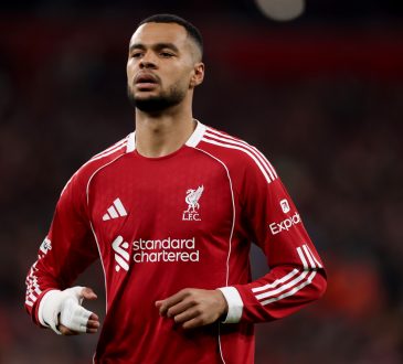 Cody Gakpo im Trikot des FC Liverpool