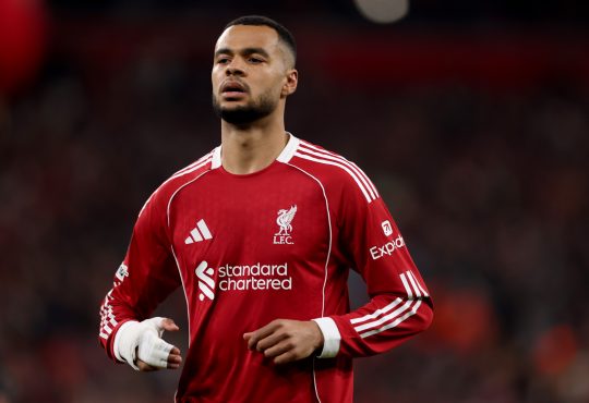 Cody Gakpo im Trikot des FC Liverpool