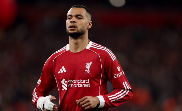 Cody Gakpo im Trikot des FC Liverpool