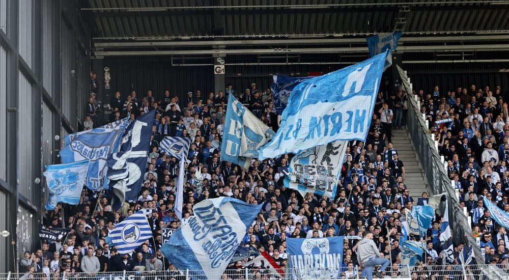 Hertha BSC Fans