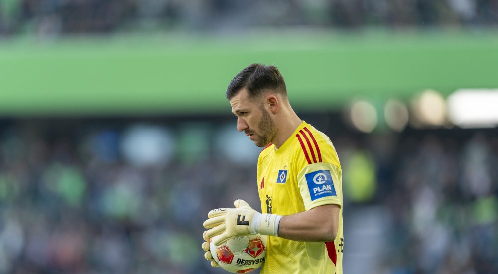 Daniel Heuer Fernandes, HSV