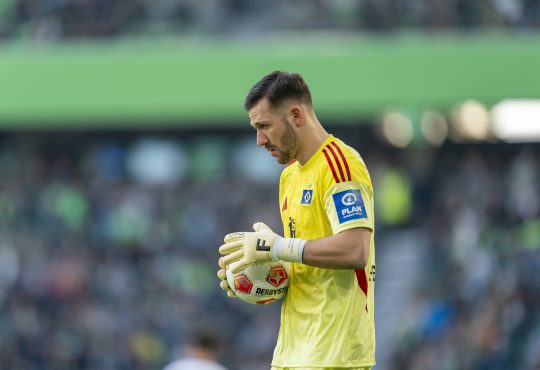 Daniel Heuer Fernandes, HSV