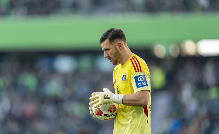 Daniel Heuer Fernandes, HSV