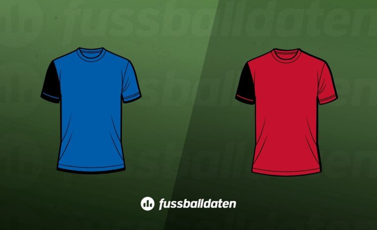 Hoffenheim - Mainz Tipps