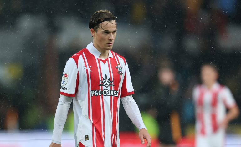 Caspar Jander vom FC Southampton während des Spiels gegen Hull City