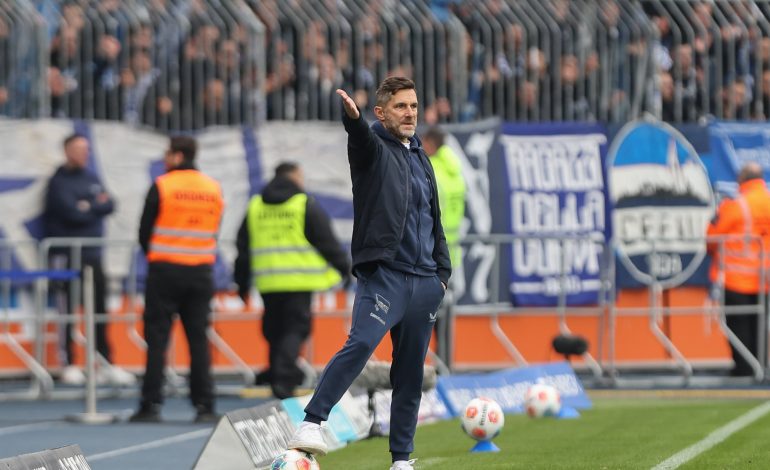 Stefan Leitl, Hertha BSC